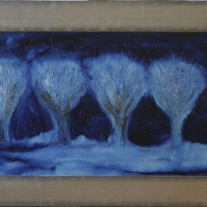 Willows in the Night
